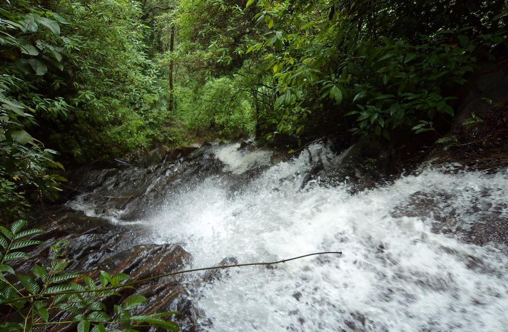 Marg Stream Valley ビサーリー エクステリア 写真